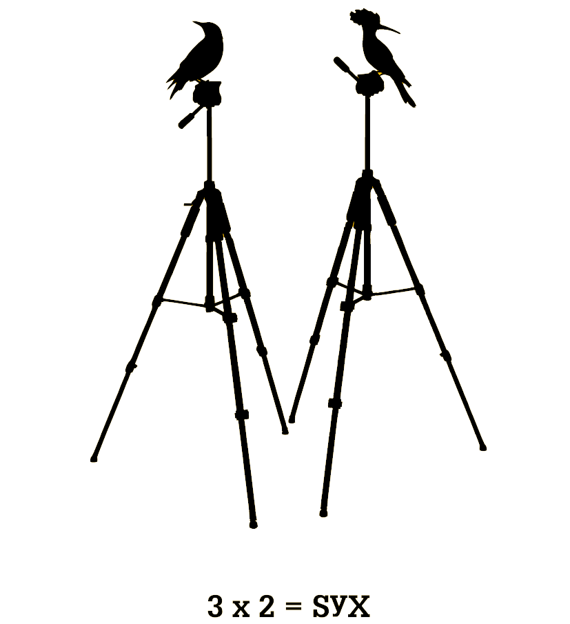 SYX Estudio